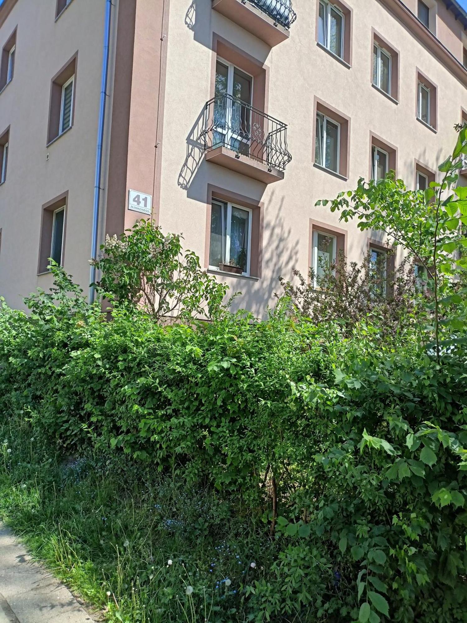 Apartament Slowackiego 41 옐레니아구라 외부 사진